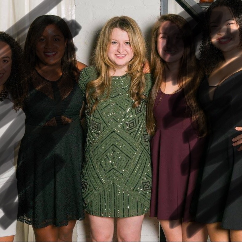 Green Parker Sequin Embellished Dress